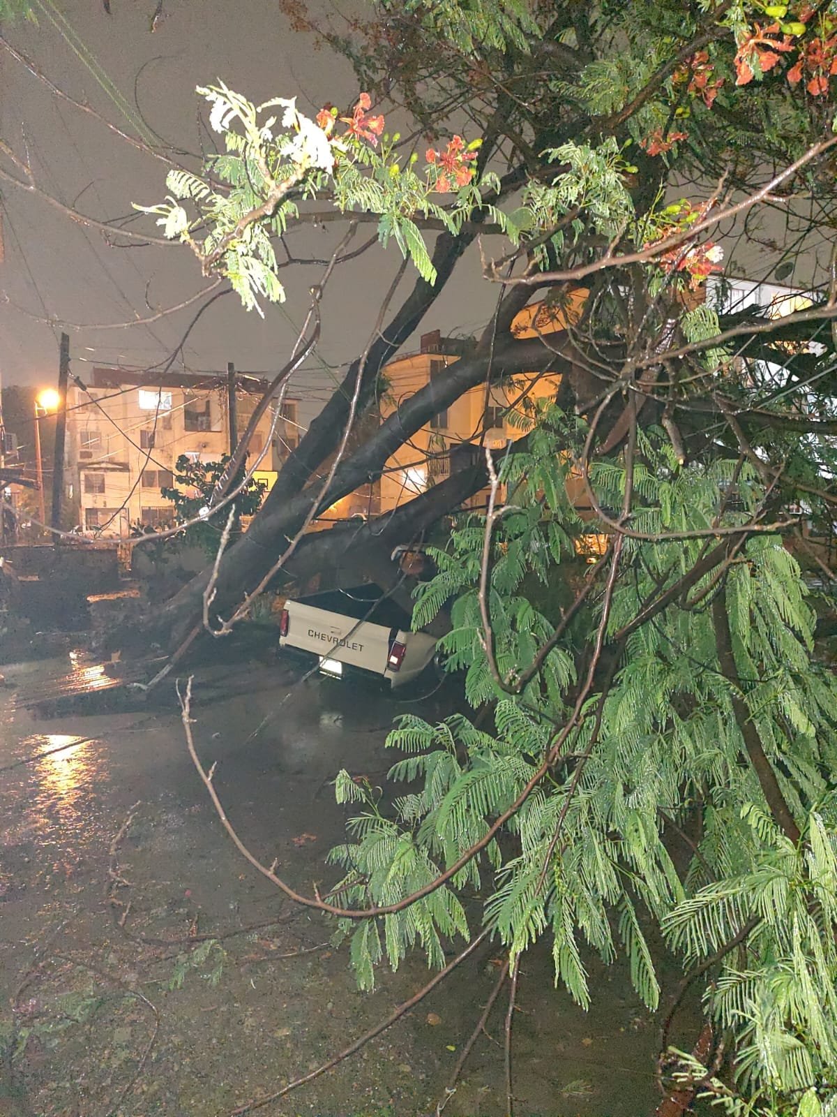 *Atiende Gobierno de Mazatlán 45 reportes derivados de las lluvias registradas e