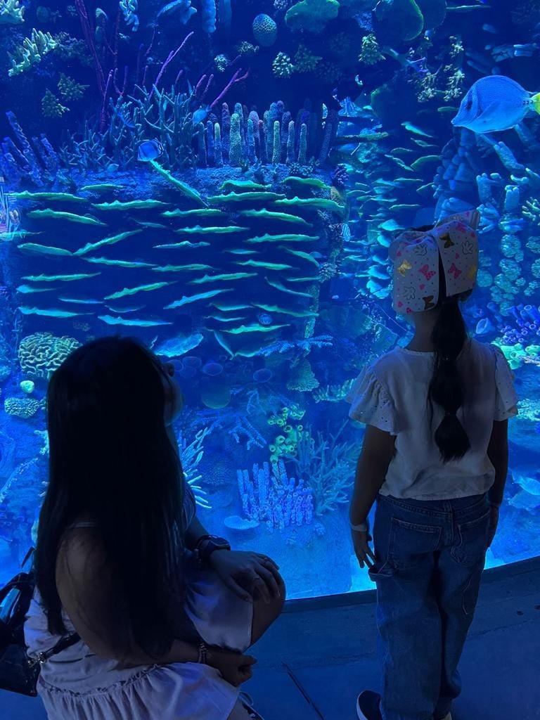 Buceo en la pecera oceánica y un auditorio serán las nuevas amenidades en el Gra