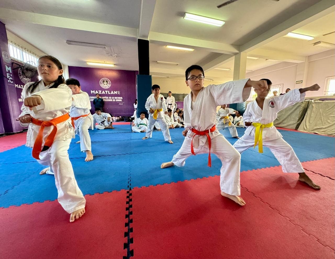 Le responden al karate