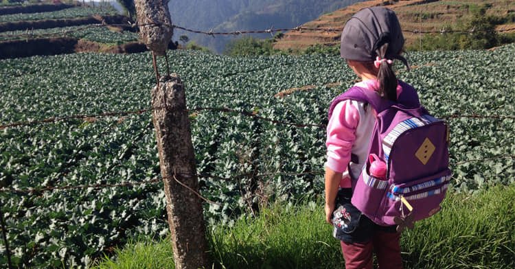 Necesaria una labor estructurada entre gobiernos y organizaciones locales, nacio