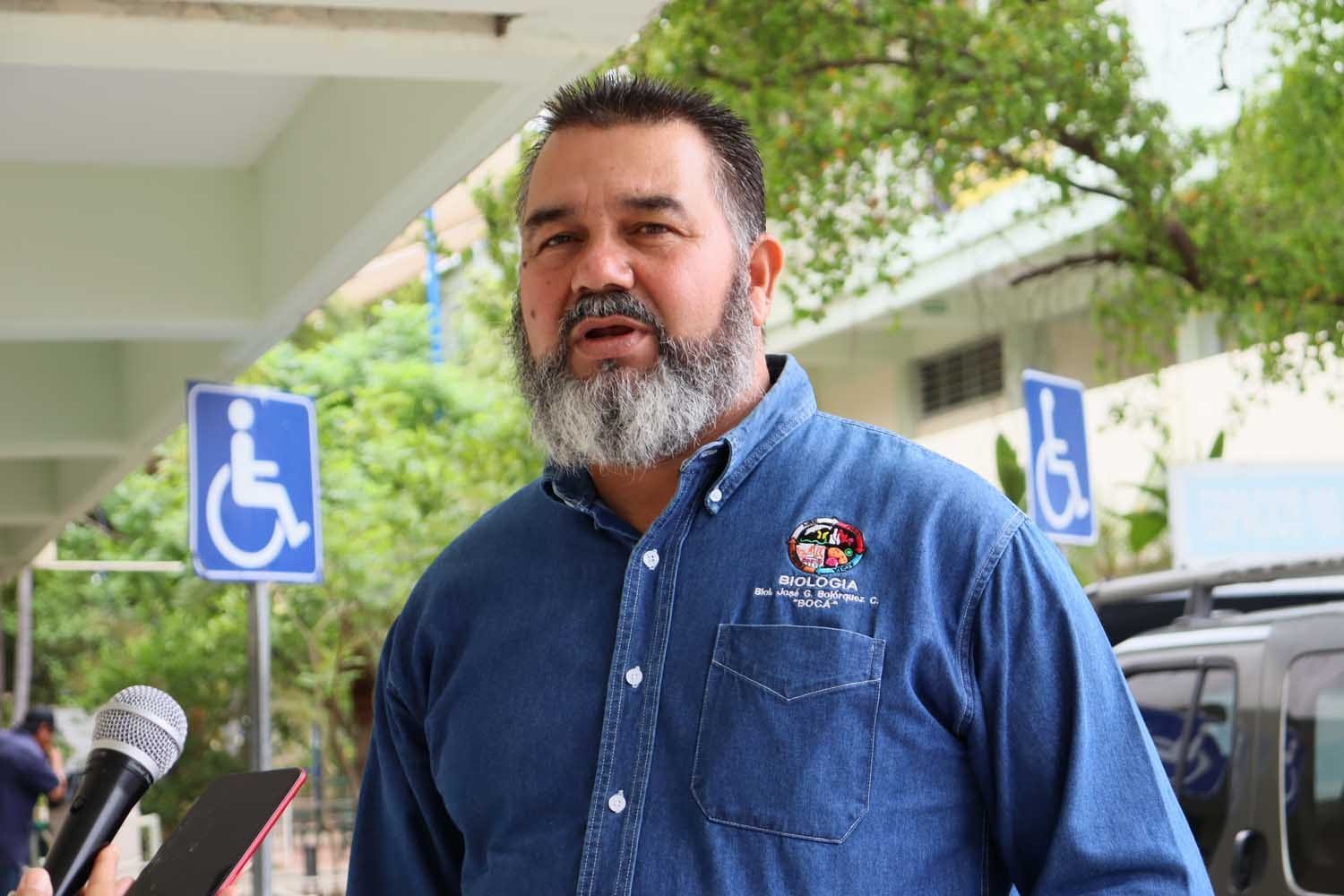 Plantar y conservar un árbol tiene diversas bondades ante el medio ambiente y la