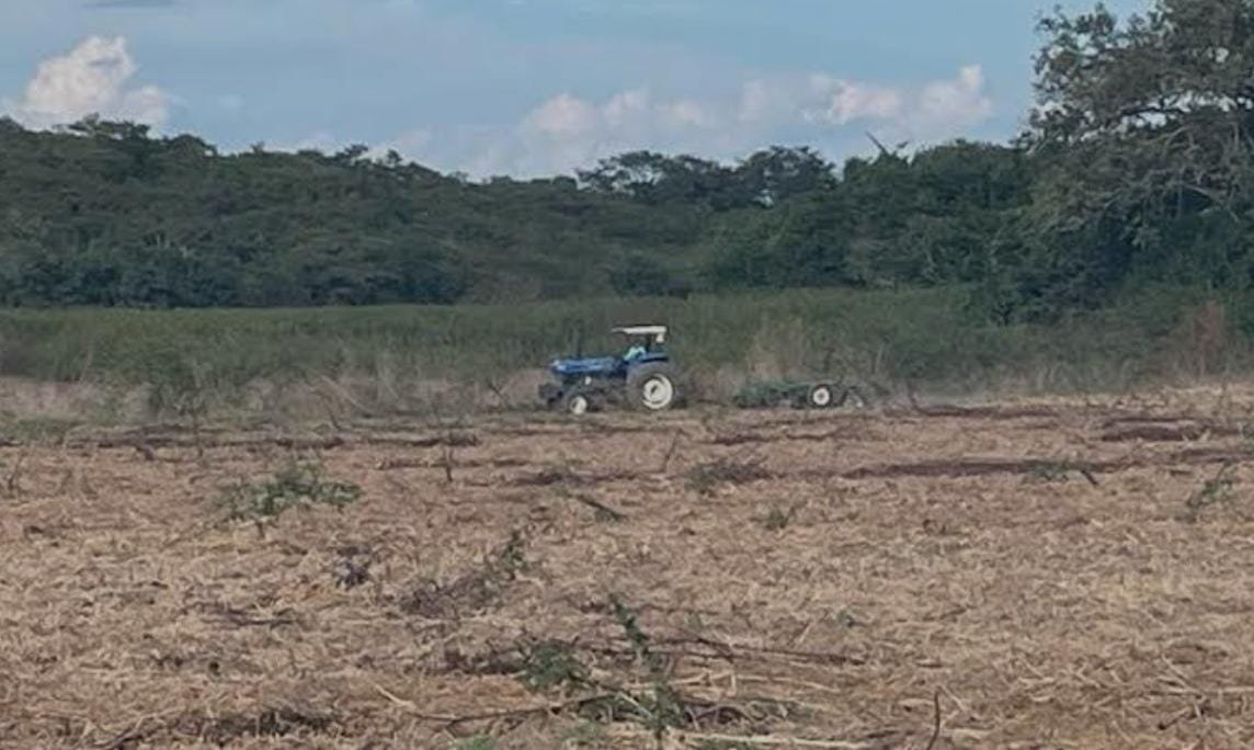Preparan agricultores sus tierras para la siembra de hortalizas en Mazatlán Preparan agricultores sus tierras para la siembra de hortalizas en Mazatlán