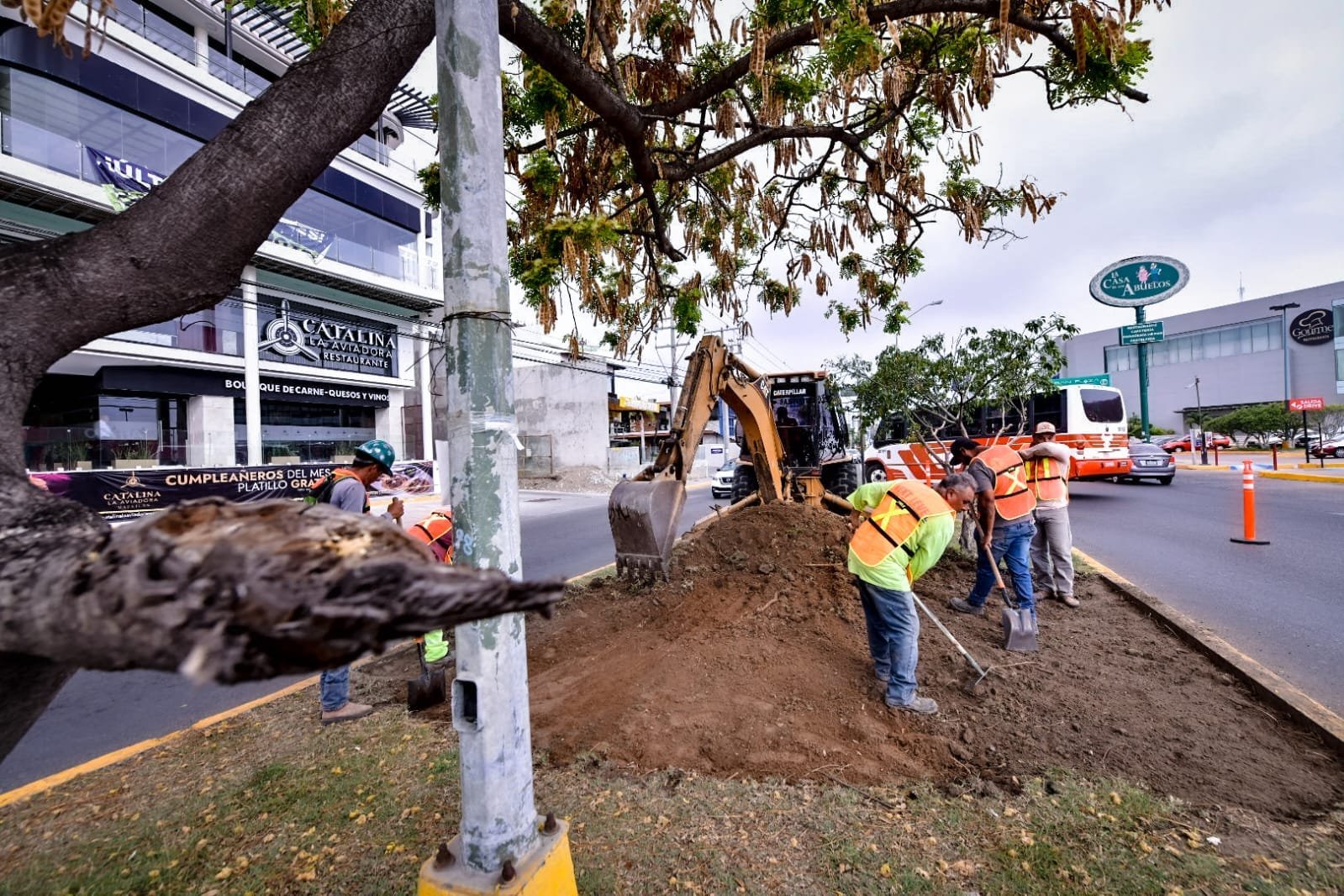 *Supervisa Alcalde obra de rehabilitación de camellón en avenida Reforma.*