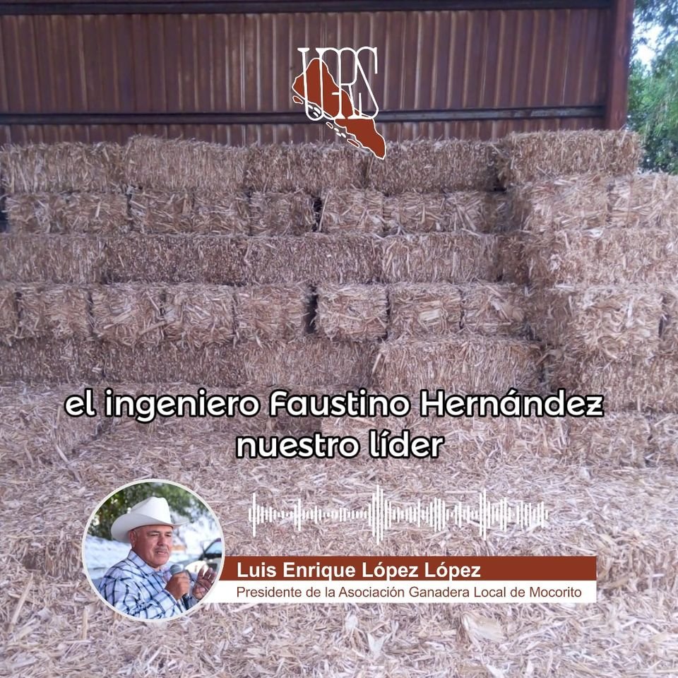 Testimonio de Luis Enrique López López, Presidente de la Asociación Ganadera Lo Testimonio de Luis Enrique López López, Presidente de la Asociación Ganadera Lo