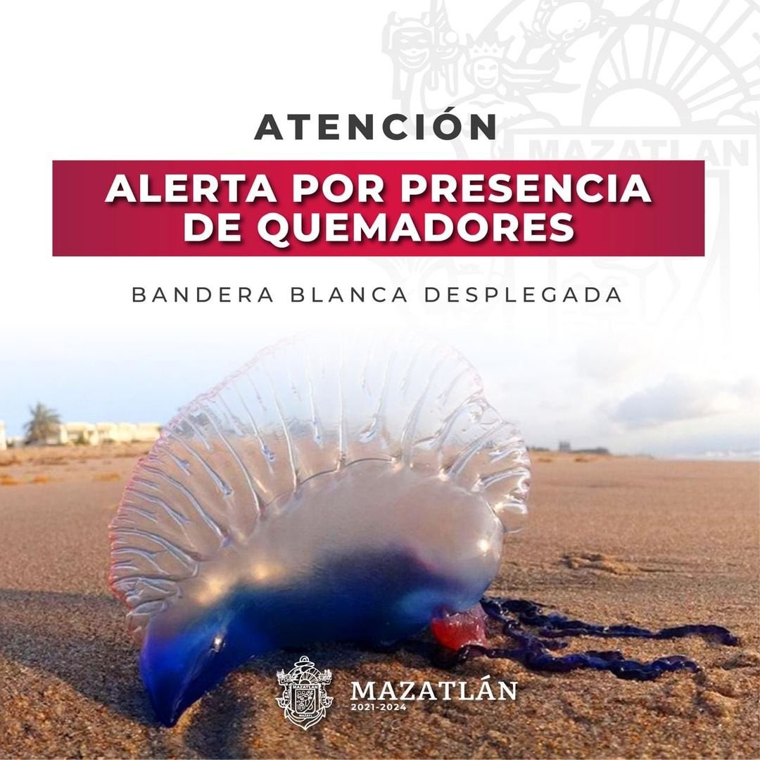 ¡Cuidado! Alerta Escuadrón de Salvamento Acuático presencia de Quemadores ¡Cuidado! Alerta Escuadrón de Salvamento Acuático presencia de Quemadores