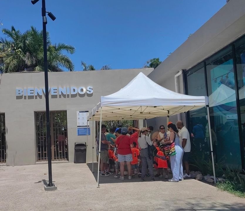 Gran Acuario Mazatlán recibe hasta 6 mil visitantes por dia Gran Acuario Mazatlán recibe hasta 6 mil visitantes por dia
