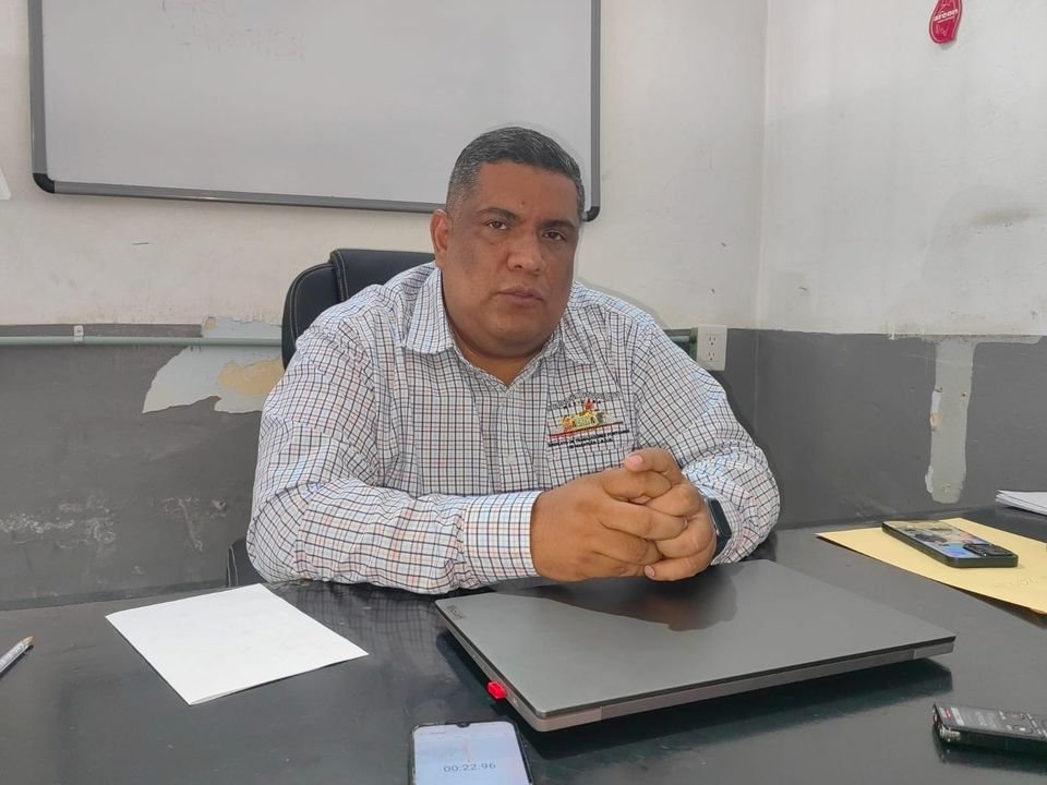 Llegaran a Mazatlán 13 mil toneladas de madera de Sudamérica Llegaran a Mazatlán 13 mil toneladas de madera de Sudamérica