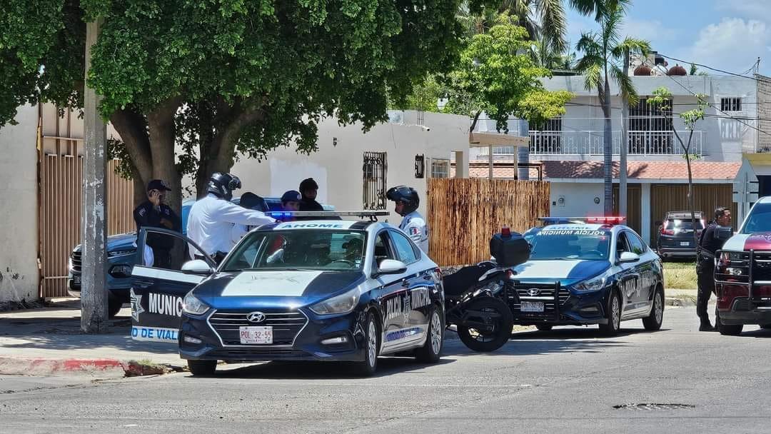 #LosMochis 馃搷馃毃 #LosMochis 馃搷馃毃