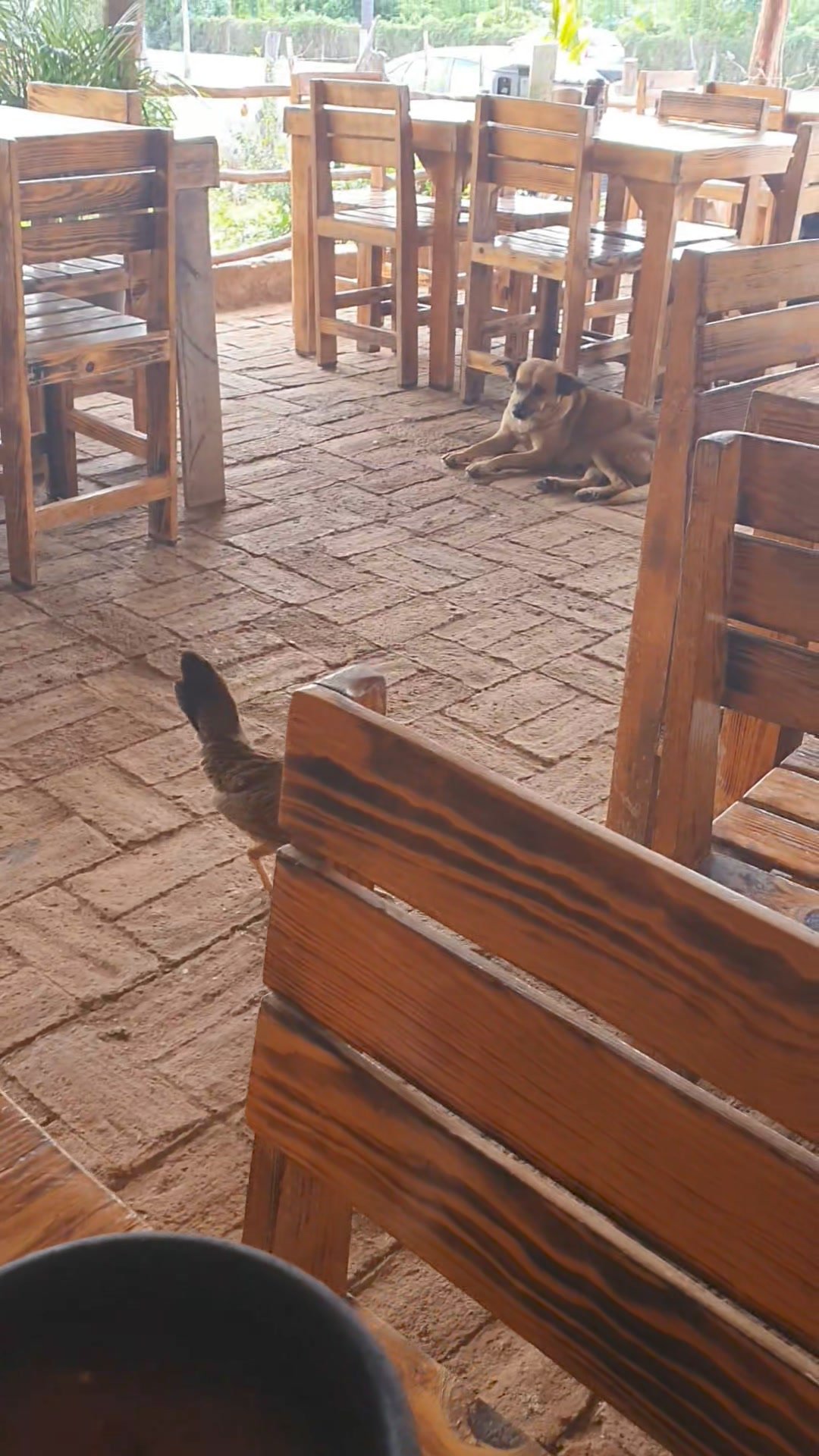 EN "LA CURVA", RESTAURANT A LA ENTRADA DE MAZATLÁN POR LA AV