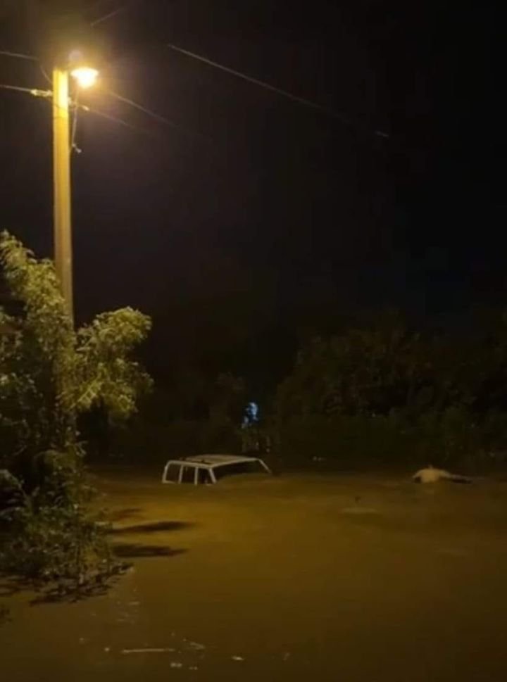 #Guamúchil #ElTaballal