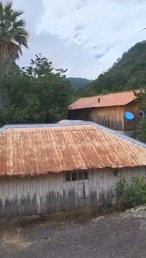Es en el Palmito, Concordia, por la carretera libre en la parte serrana