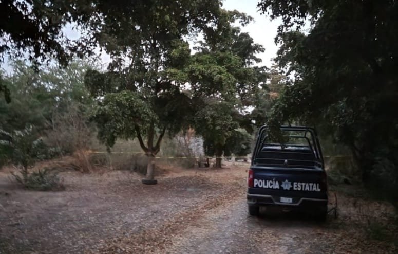 Dos cuerpos más y restos óseos calcinados reporta la SSP este miércoles en Sinaloa Dos cuerpos más y restos óseos calcinados reporta la SSP este miércoles en Sinaloa