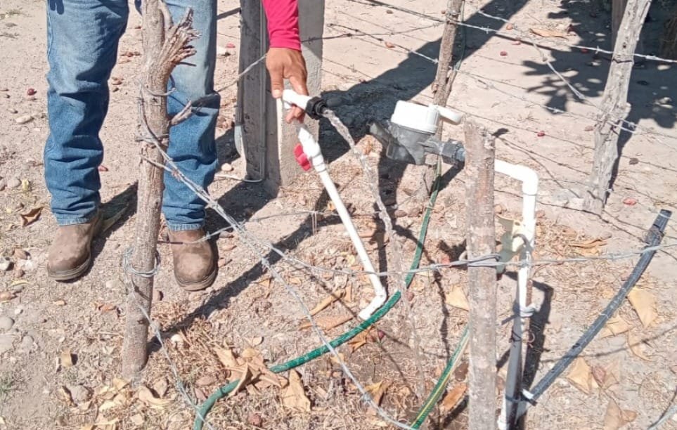 Photos from FG Noticias's post