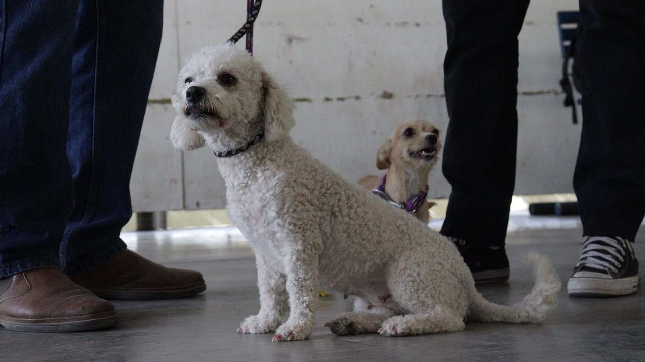 Photos from FG Noticias's post