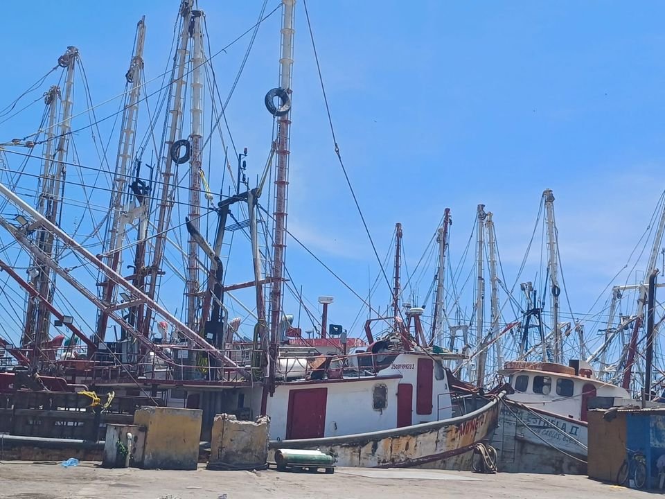 Regresan a Mazatlán 65 embarcaciones que salieron a pescar camarón a altamar