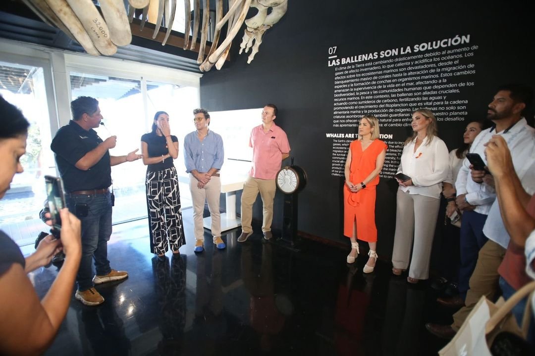 Mazatlán esta dentro de las cinco playas más seguras de México: asegura Sectur Mazatlán esta dentro de las cinco playas más seguras de México: asegura Sectur