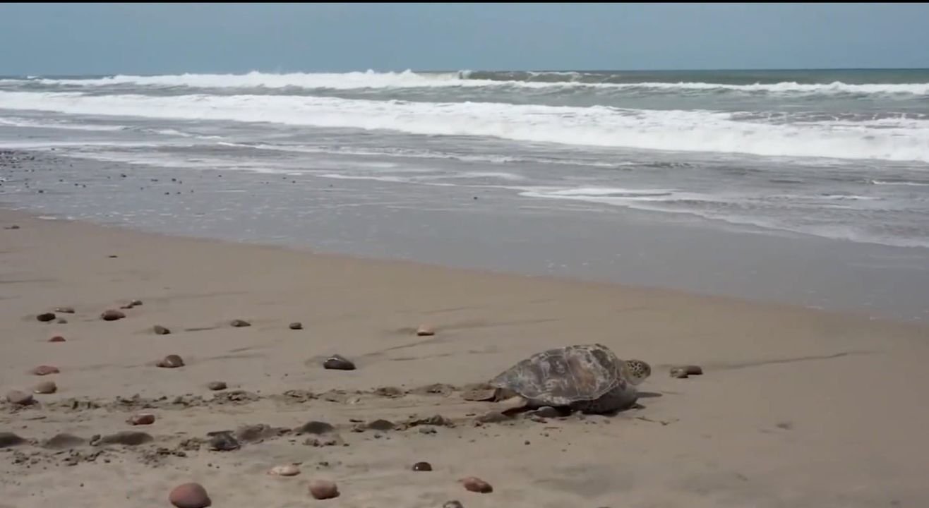 Photos from FG Noticias's post Photos from FG Noticias's post