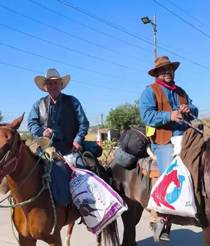 #Travesia #Sierra 🐎🐎