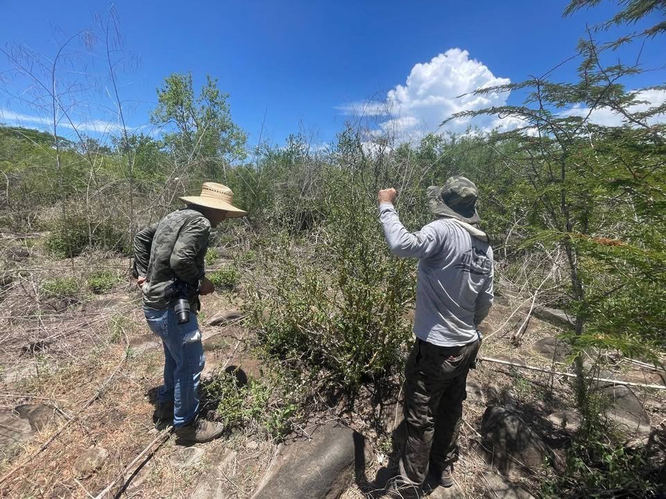 Photos from FG Noticias's post