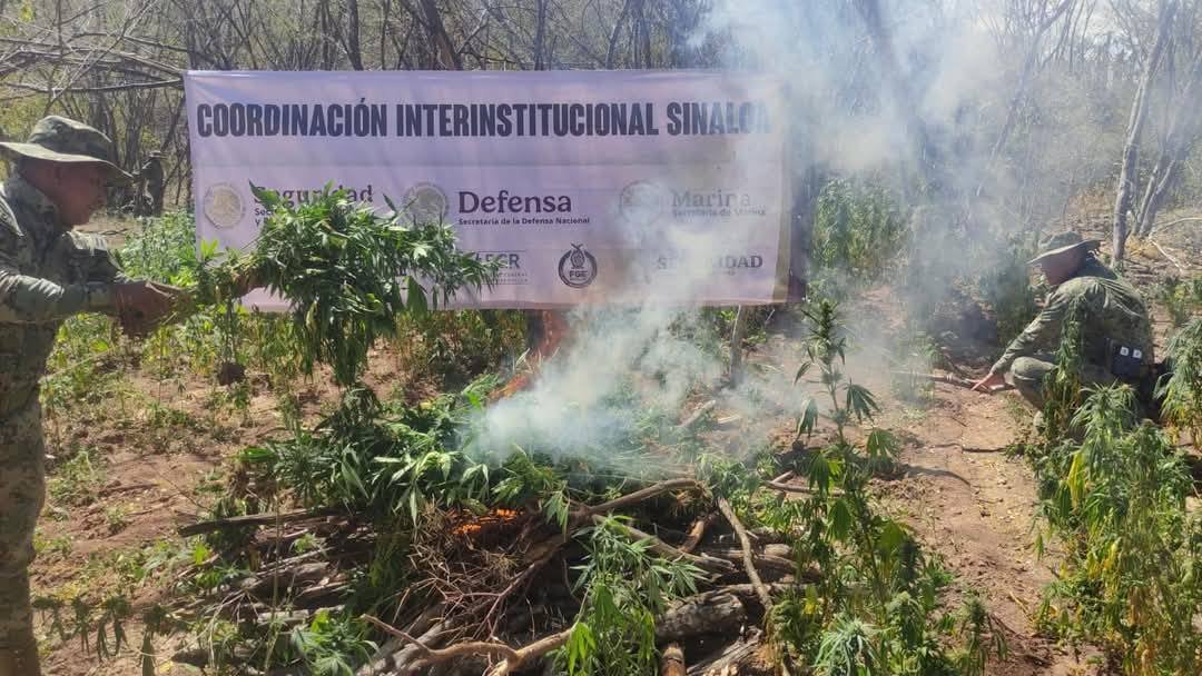 Photos from FG Noticias's post Photos from FG Noticias's post