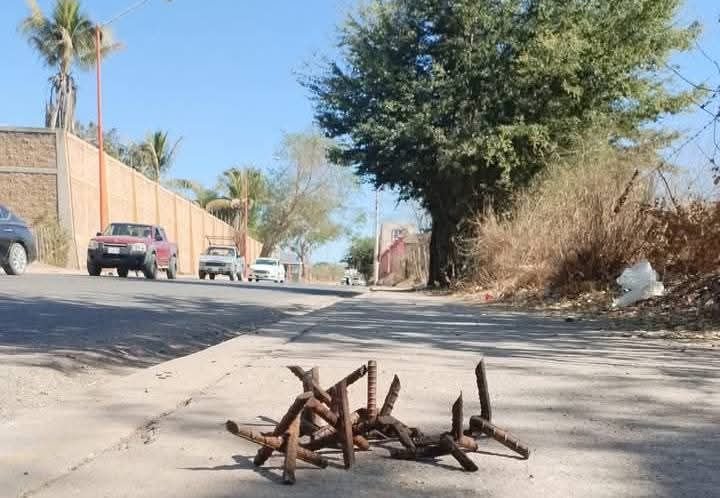 #Guamúchil #Precaución ⚠️⚠️ #Guamúchil #Precaución ⚠️⚠️