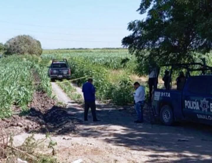 #Navolato #Violencia #Navolato #Violencia