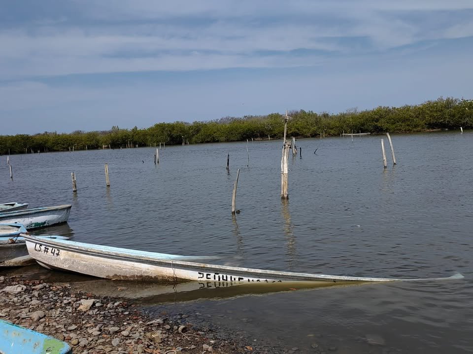 Pescadores ribereños del sur de Sinaloa afectados también por la sequía