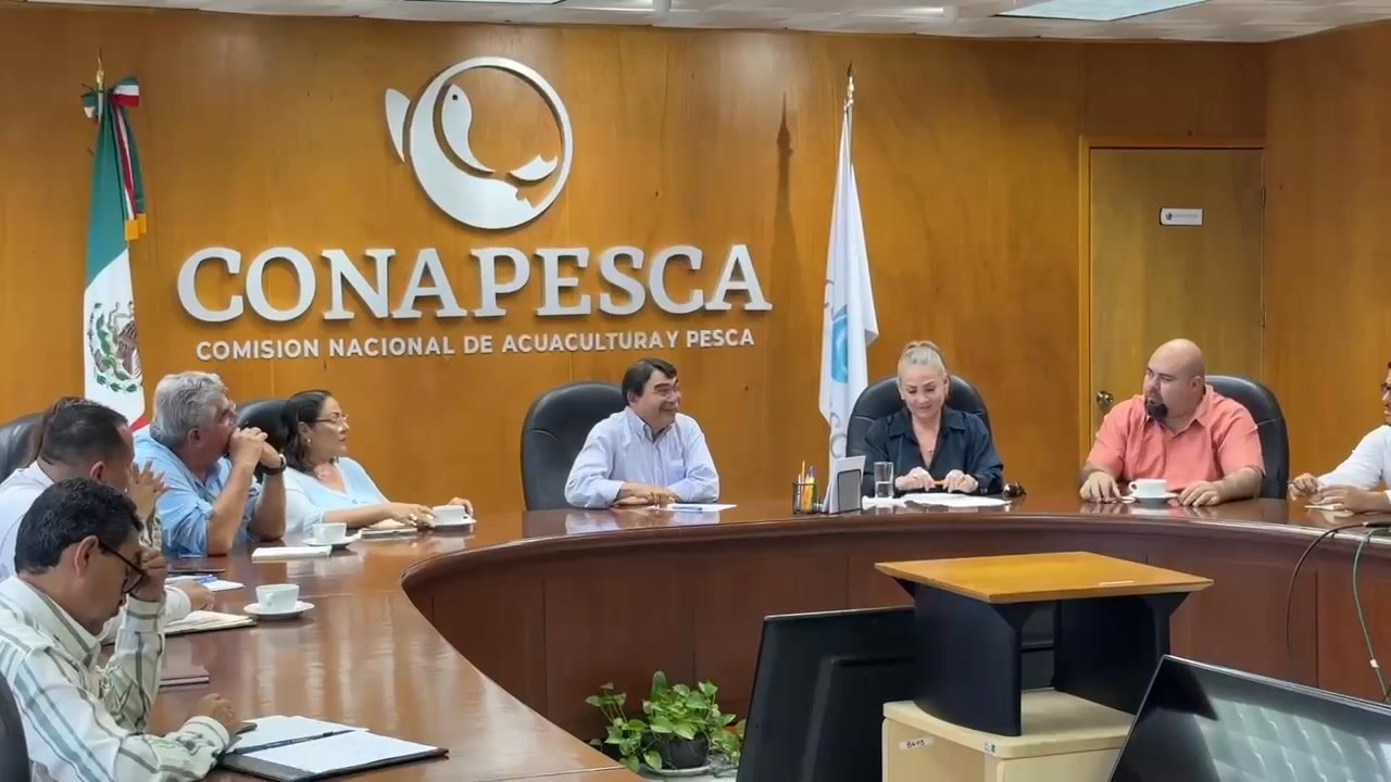 URGE ESTRECHAR LA RELACIÓN ENTRE MUNICIPIO Y FEDERACIÓN PARA FORTALECER AL SECTOR PESQUERO: REGIDORA MARIBELL CHOLLET URGE ESTRECHAR LA RELACIÓN ENTRE MUNICIPIO Y FEDERACIÓN PARA FORTALECER AL SECTOR PESQUERO: REGIDORA MARIBELL CHOLLET