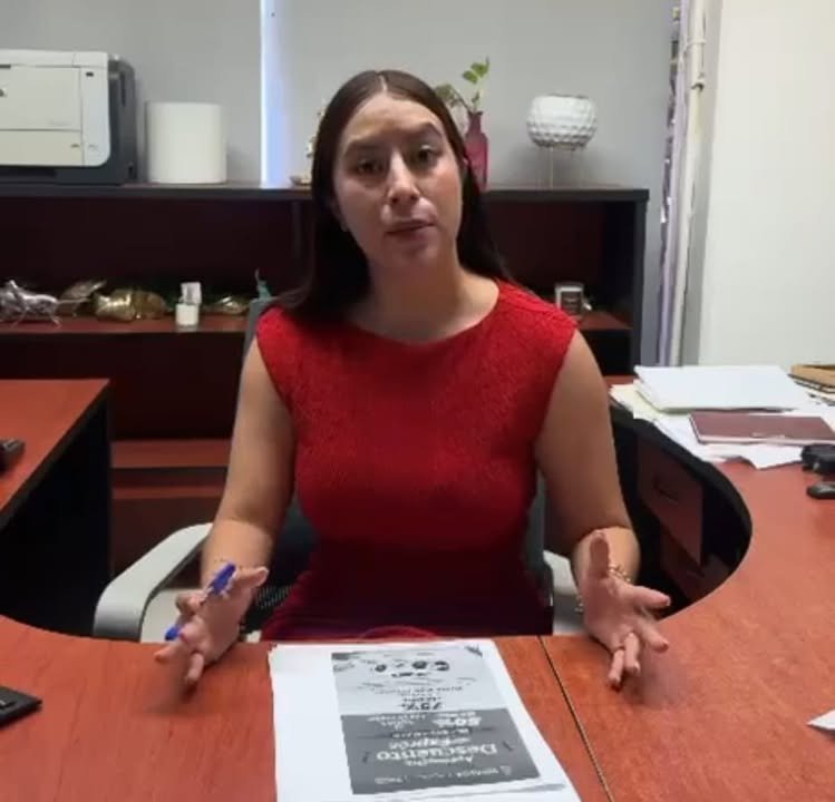 Invitan a aprovechar descuentos en licencias y placas vehiculares en Mazatlán Invitan a aprovechar descuentos en licencias y placas vehiculares en Mazatlán