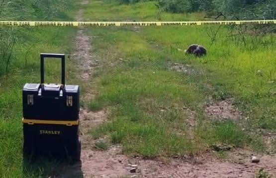 #ElDorado #Ataque #Cocodrilo #ElDorado #Ataque #Cocodrilo