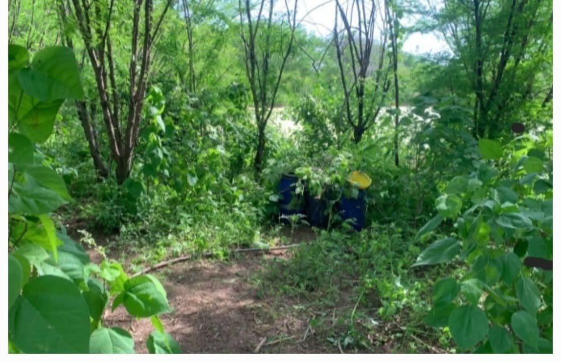 Photos from FG Noticias's post