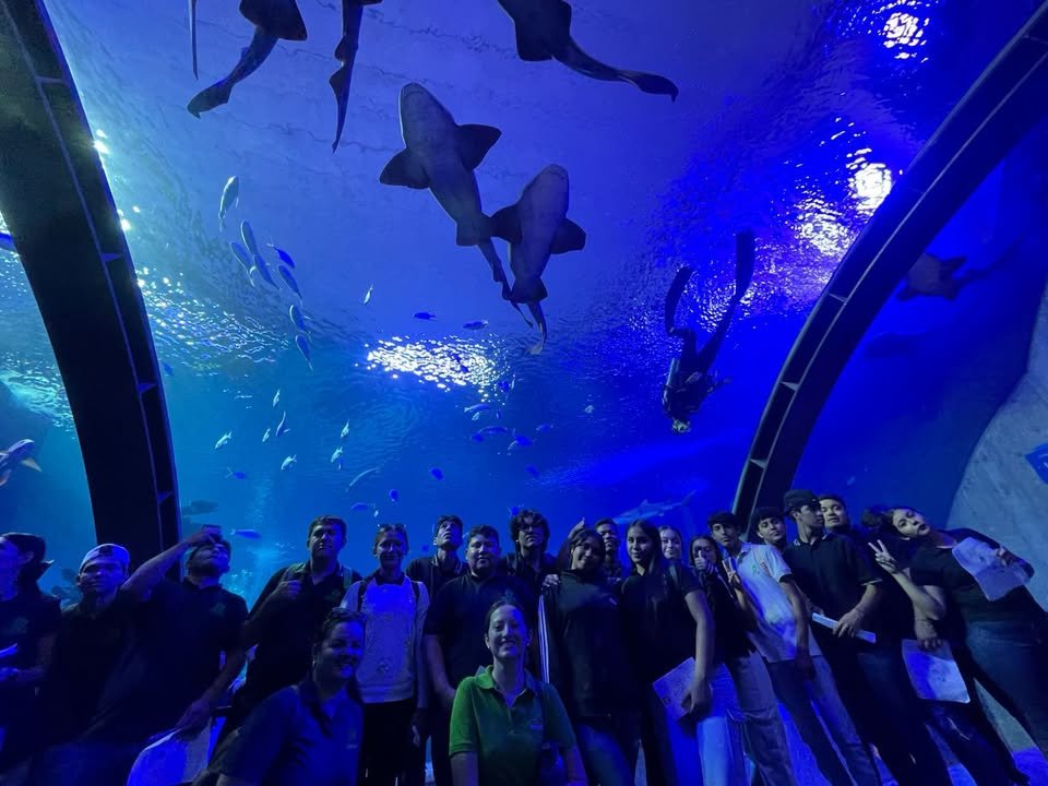 Gran Acuario Mazatlán un aula viva para el aprendizaje Gran Acuario Mazatlán un aula viva para el aprendizaje