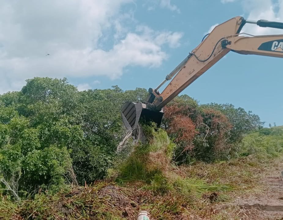 *JUMAPAM retira lirio acuático del Dique 4 y genera doble beneficio* *JUMAPAM retira lirio acuático del Dique 4 y genera doble beneficio*