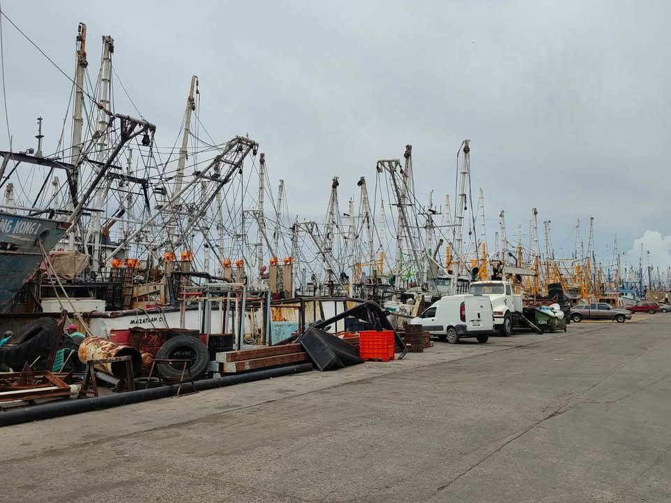 Anuncian levantamiento de la veda del camarón en el Pacífico Mexicano, el 19 de septiembre para ribereños y el 29 para altamar Anuncian levantamiento de la veda del camarón en el Pacífico Mexicano, el 19 de septiembre para ribereños y el 29 para altamar