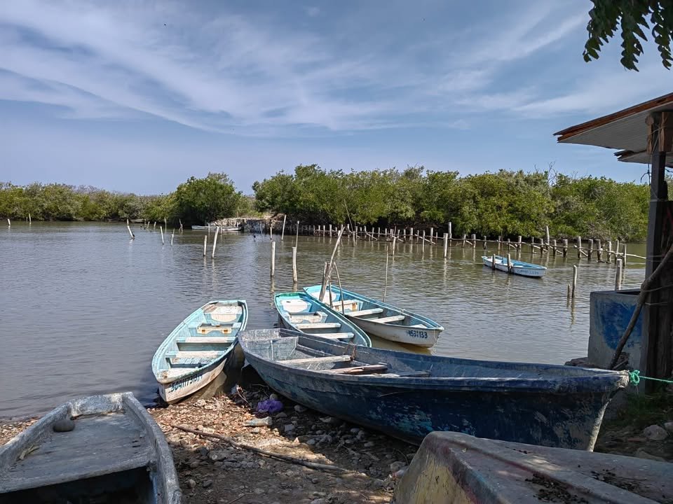 Pescadores pudieran autovedarse en el Huizache, proponen  empezar hasta el 29 de octubre