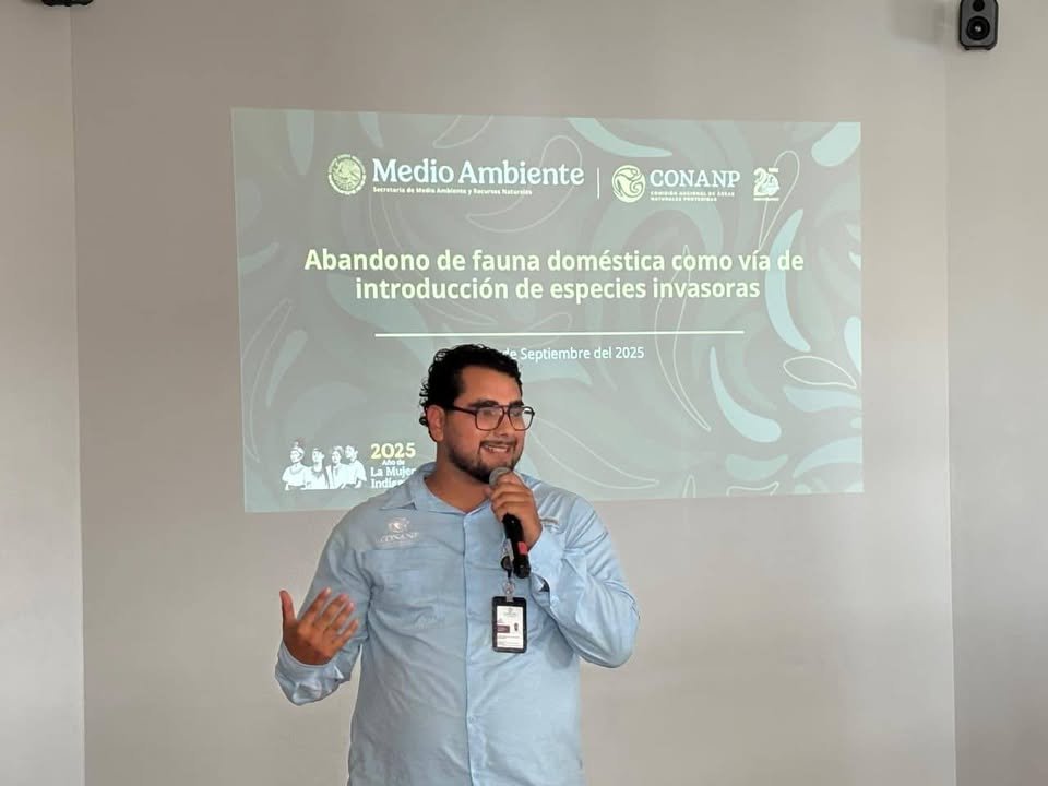 Photos from FG Noticias's post Photos from FG Noticias's post