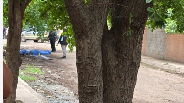 A balazos asesinan a un hombre y una mujer en Bachigualato, Culiacán; les taparon el rostro A balazos asesinan a un hombre y una mujer en Bachigualato, Culiacán; les taparon el rostro