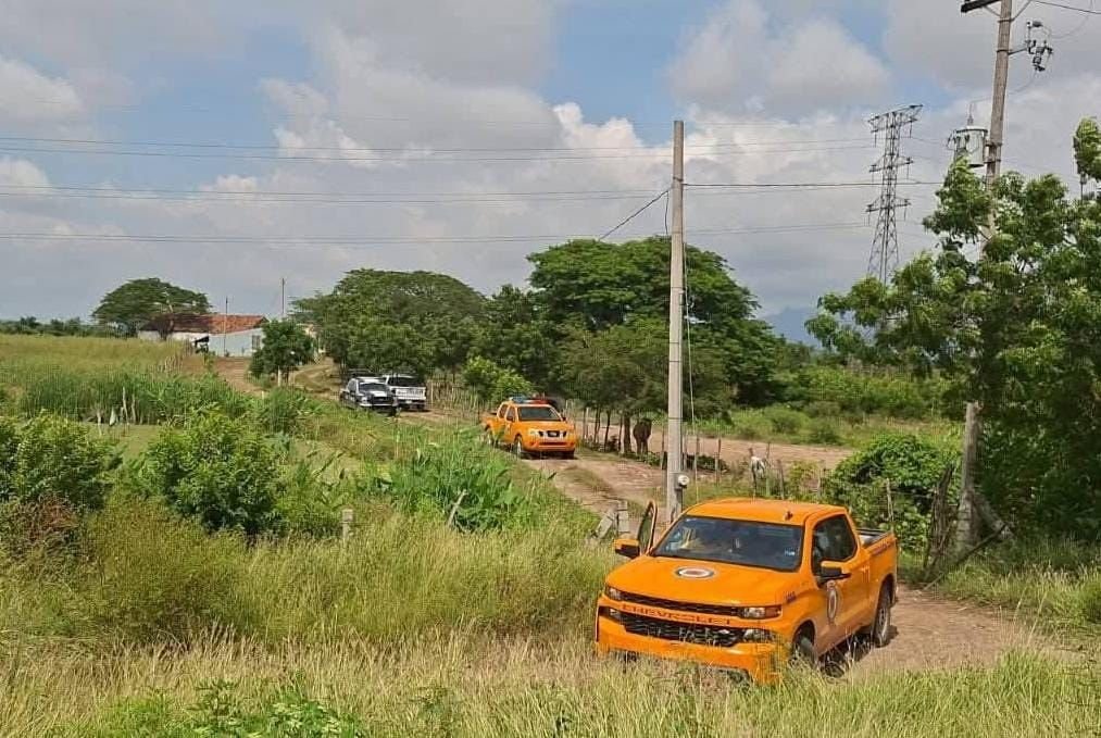 Ataque de abejas deja a dos personas sin vida  cerca de La Urraca