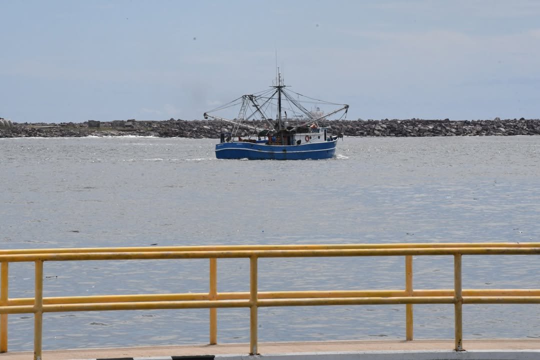 Reportan capturas regulares en los primeros en las primeras horas de pesca en altamar Reportan capturas regulares en los primeros en las primeras horas de pesca en altamar