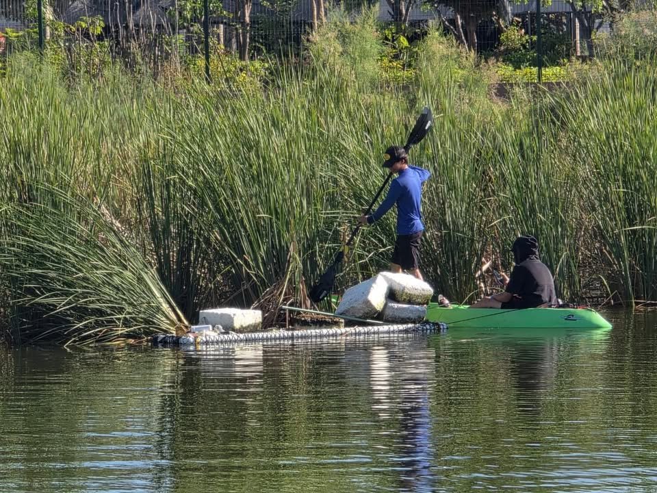 Quinta jornada de limpieza a la Laguna El Camarón expone el grave daño del unicel en cuerpos de agua