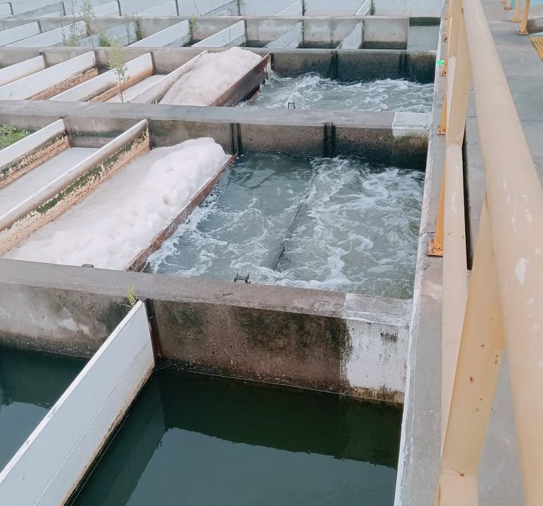 *Motor en la Potabilizadora Los Horcones sufre daño por descarga eléctrica* *Motor en la Potabilizadora Los Horcones sufre daño por descarga eléctrica*