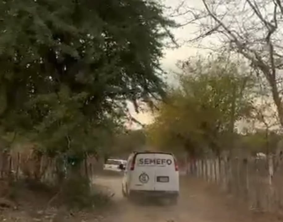 Colectivo de búsqueda exigen a la fiscalía información sobre fosa clandestina de Concordia