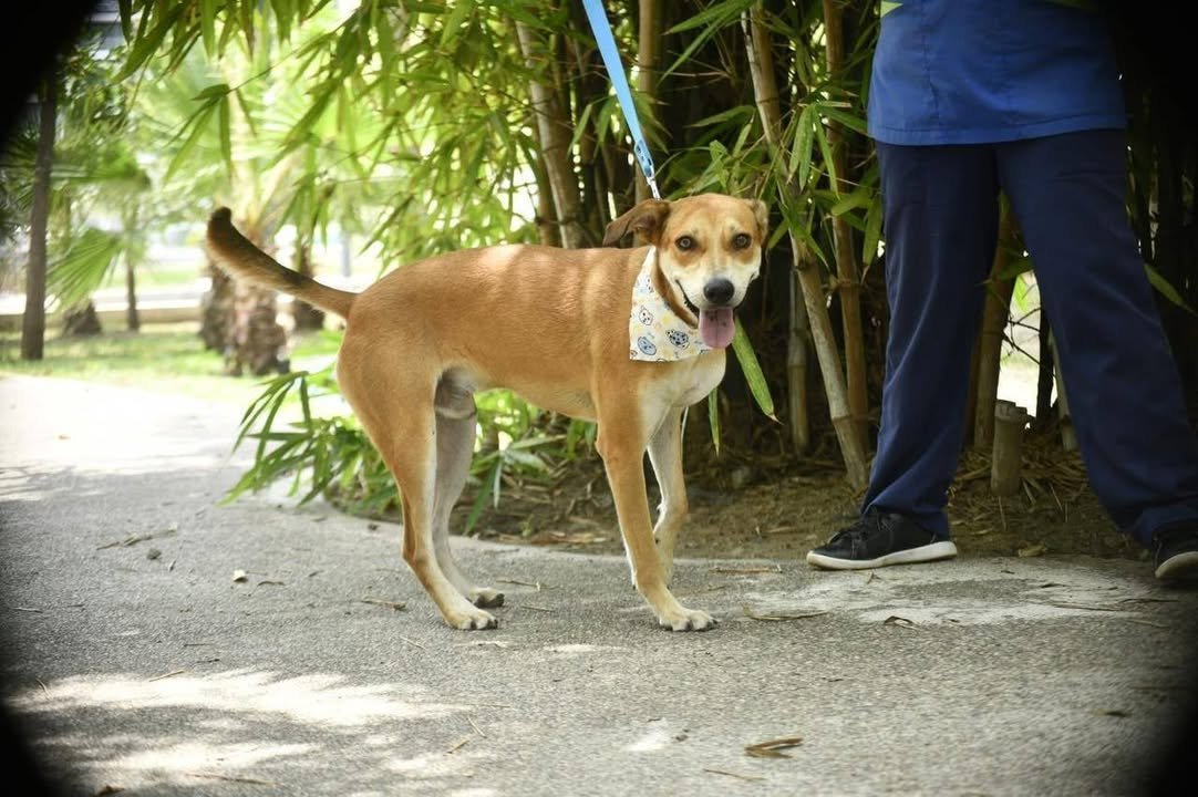 Photos from FG Noticias's post