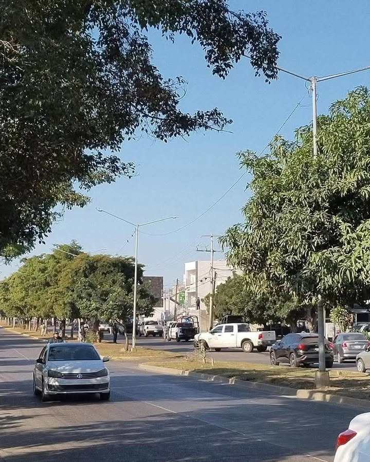 HALLAZGO DE MUJER SIN V1D4 GENERA MOVILIZACIÓN EN INFONAVIT JABALÍES HALLAZGO DE MUJER SIN V1D4 GENERA MOVILIZACIÓN EN INFONAVIT JABALÍES