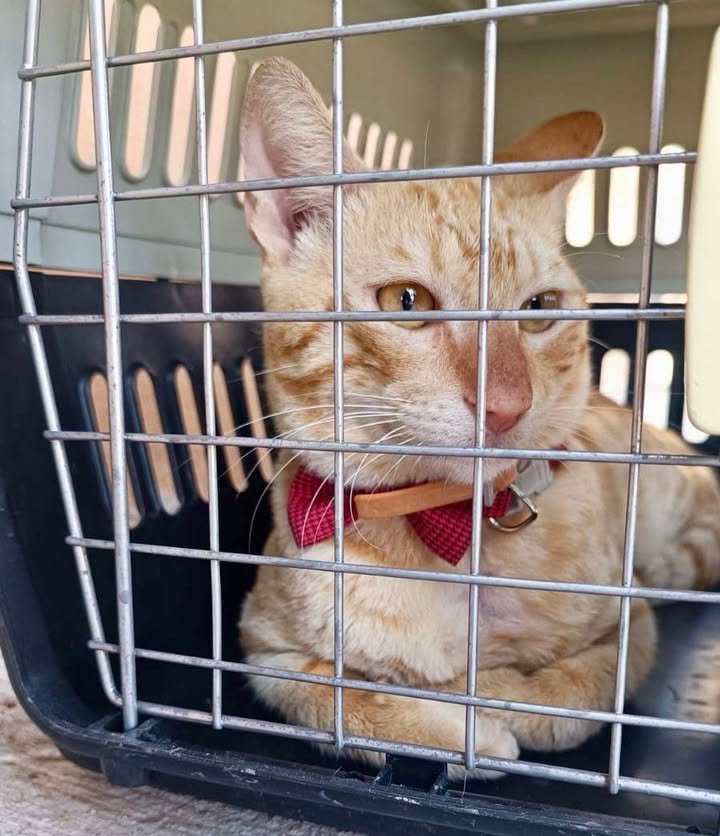 Photos from FG Noticias's post