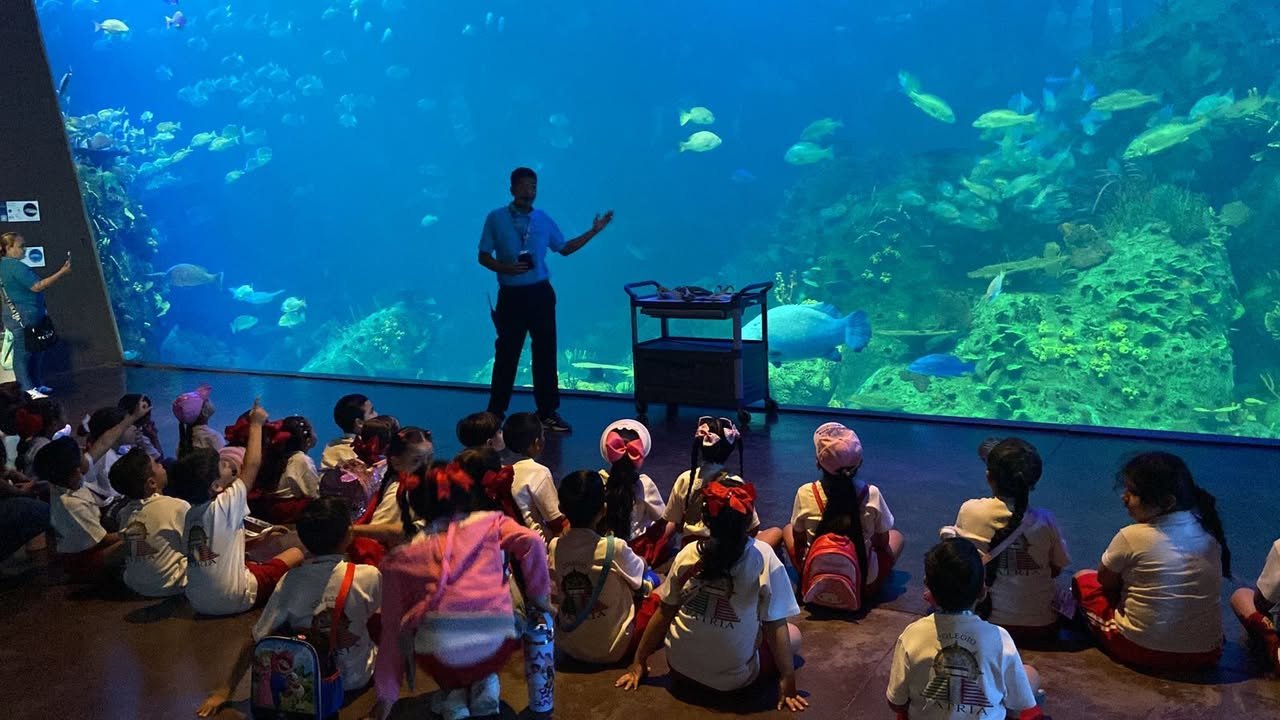 Gran Acuario Mazatlán, donde la educación ambiental cobra vida y transforma generacione
