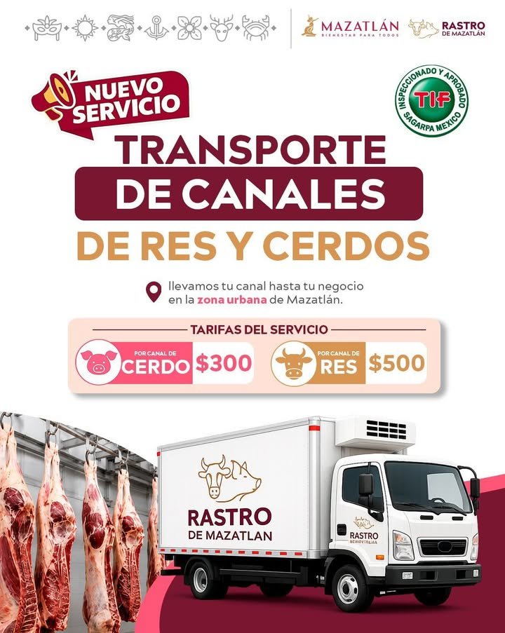 *Rastro Municipal de Mazatlán anuncia nuevo servicio de transporte de canales para res y cerdo*