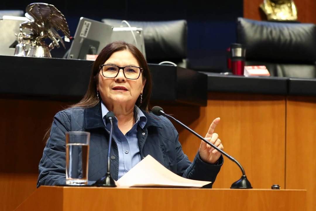 Imelda Castro defiende reforma que anula elecciones para proteger la soberanía*